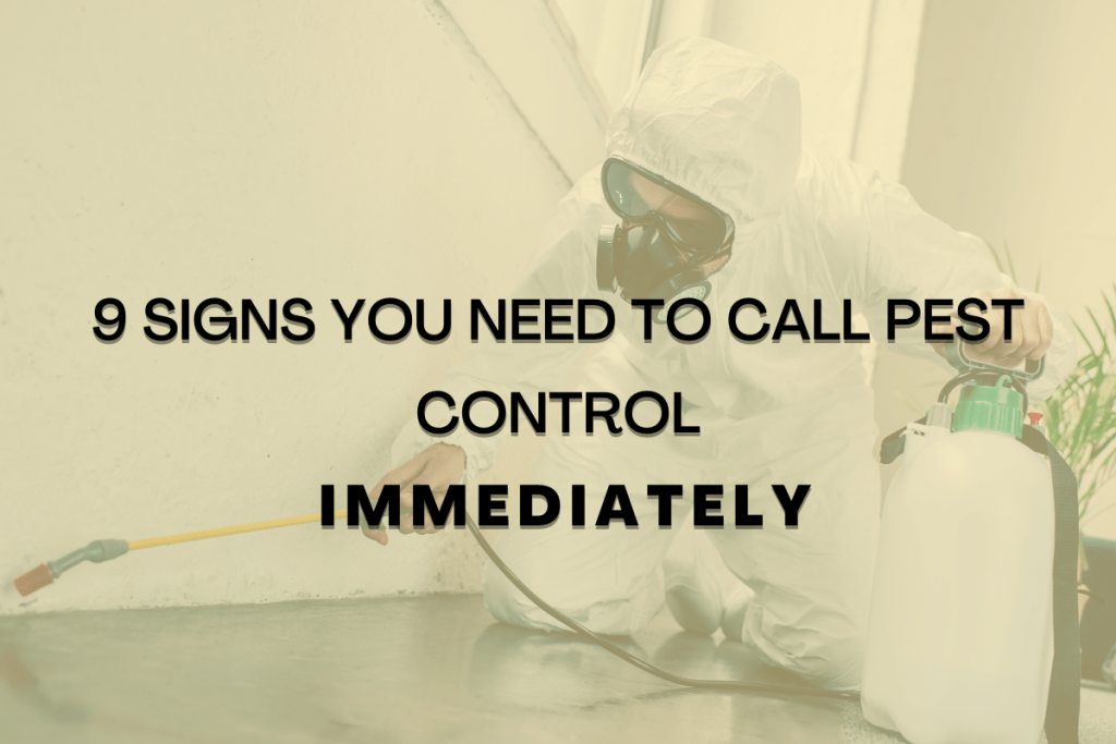 when to call pest control