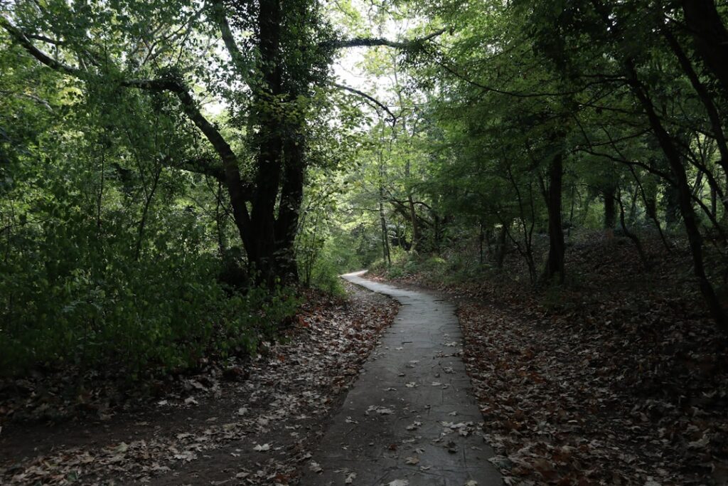 Image of the Atlanta BeltLine trail