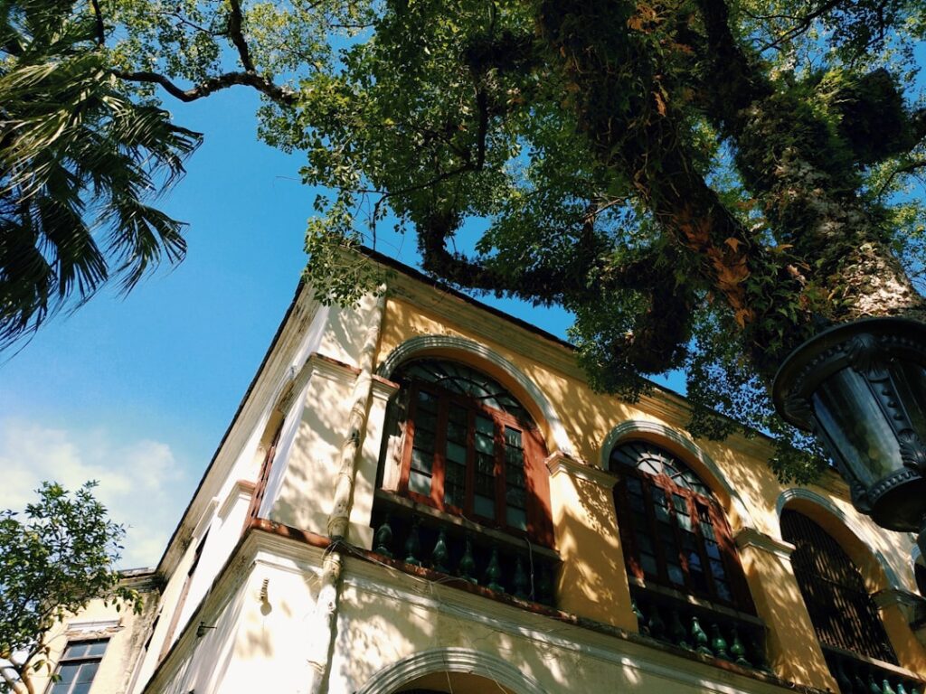 Charming, sun-drenched historic carriage house in Savannah, with lush green ivy climbing the brick walls, representing cla...